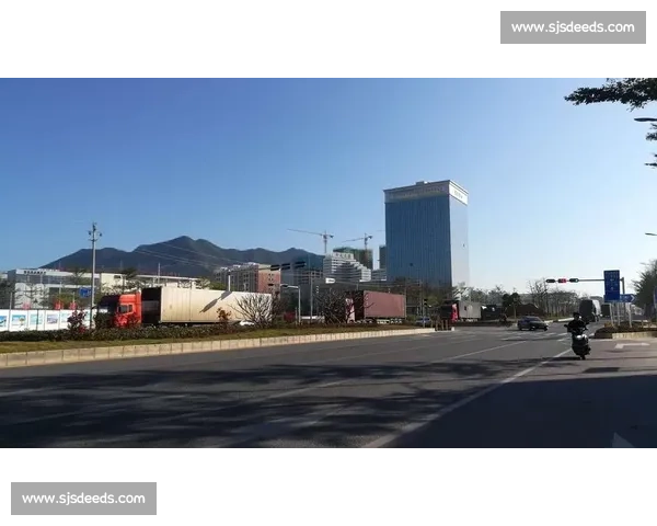 《从八十分比赛看竞技精神与团队合作的重要性探索》